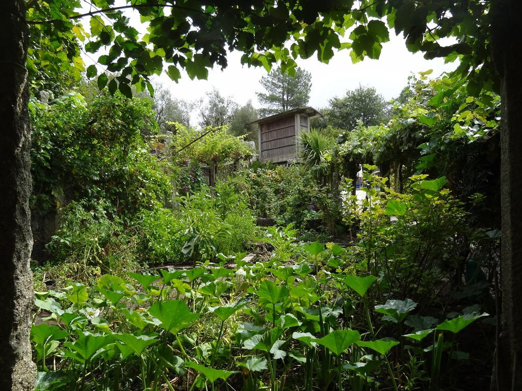 Quinta Das Delicias Sao Tiaguinho Bagian luar foto